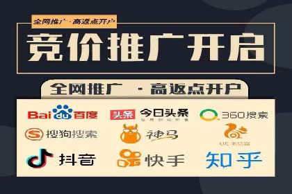 百度推广实战攻略：案例与技巧